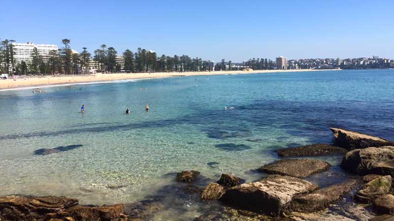 Hire a Snorkel & Mask from Manly Surfboards and discover the incredible underwater world of one of Australia’s best loved beaches!